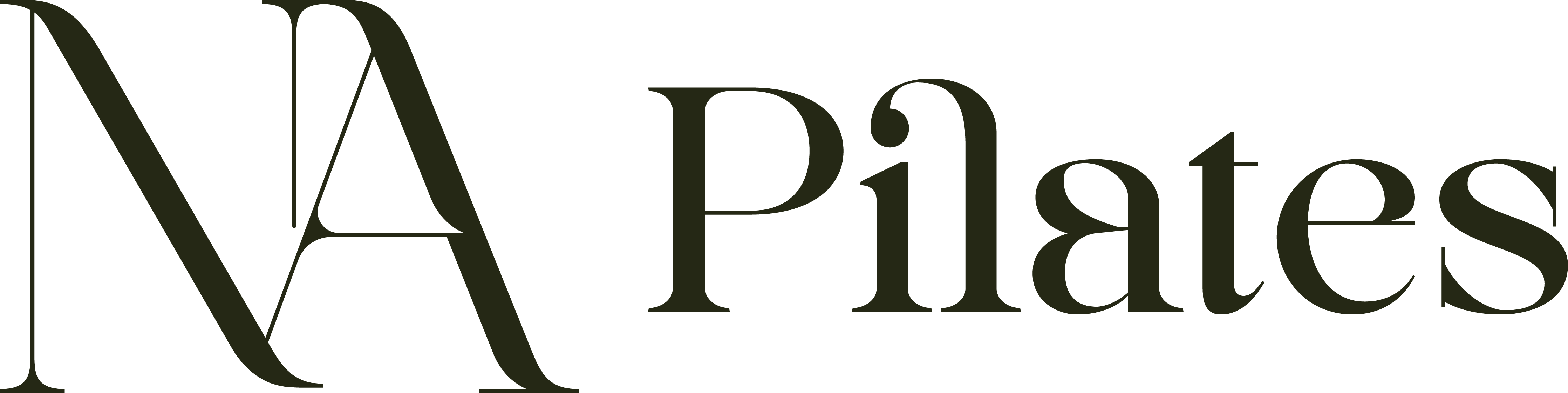 napilates_horiz_dark@8x